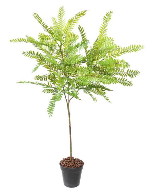Kunstig Plante Cassia H.75Cm Indendørs Udendørs