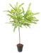 Kunstig Plante Cassia H.75Cm Indendørs Udendørs