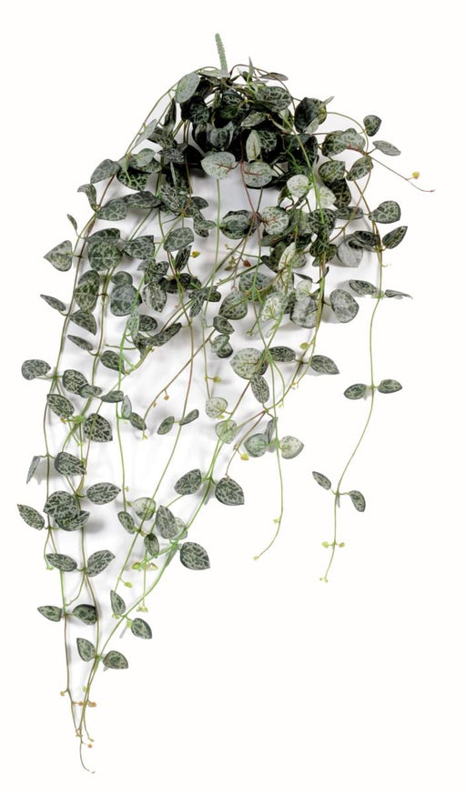 Kunstig Plante Ceropegia Til Indendørs 60Cm