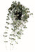 Kunstig Plante Ceropegia Til Indendørs 60Cm