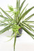 Kunstig Plante Chlorophytum 60Cm Indvendig Dekoration
