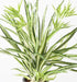 Kunstig Plante Chlorophytum 65Cm Indvendig Dekoration