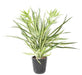 Kunstig Plante Chlorophytum 65Cm Indvendig Dekoration