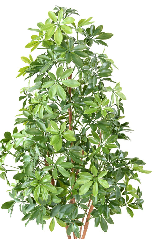 Kunstig Plante Choisya 150Cm Til Udendørs