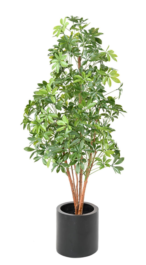 Kunstig Plante Choisya 150Cm Til Udendørs