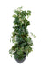 Kunstig Plante Cissus 100Cm Indvendig Dekoration