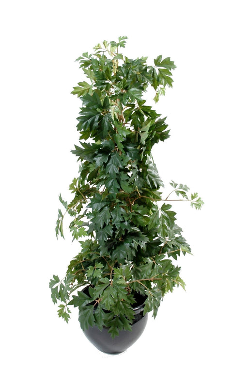 Kunstig Plante Cissus 100Cm Indvendig Dekoration