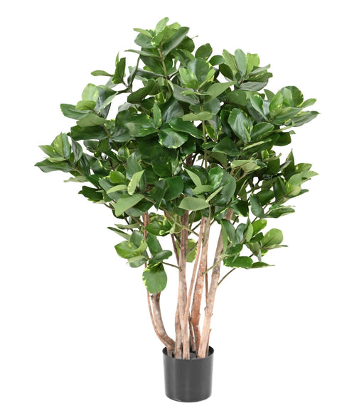 Kunstig Plante Clusia Bush 95Cm Indvendig Dekoration
