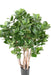 Kunstig Plante Clusia Bush 95Cm Indvendig Dekoration