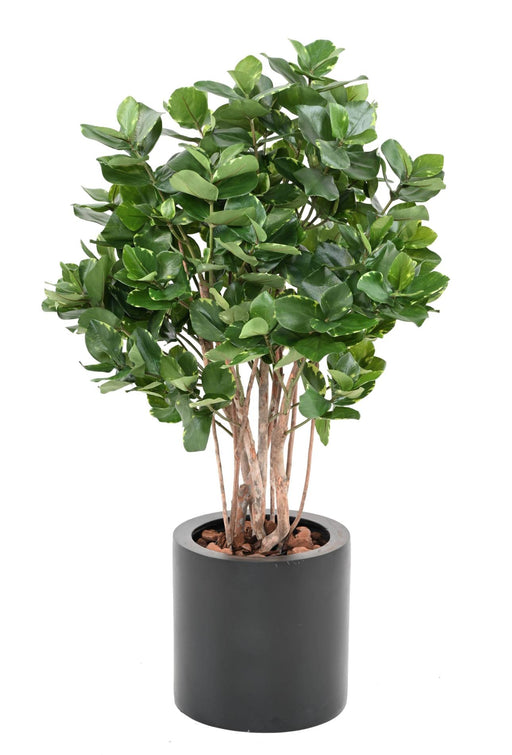 Kunstig Plante Clusia Bush 95Cm Indvendig Dekoration