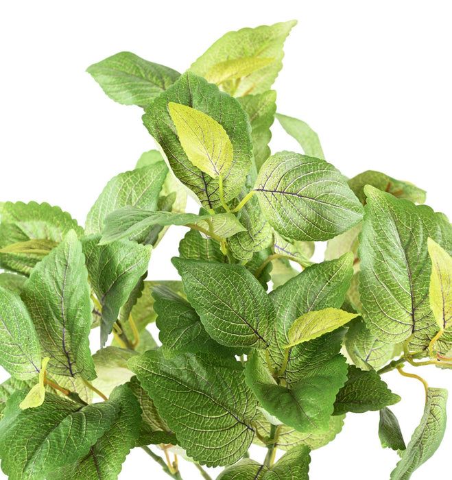 Kunstig Plante Coleus 40Cm Til Indretning