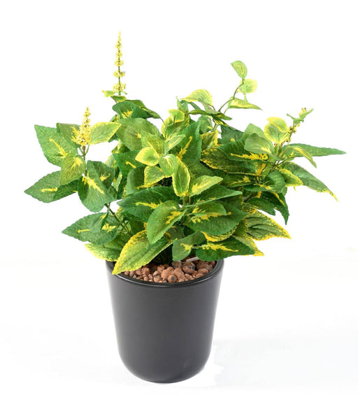 Kunstig Plante Coleus 40Cm Grøn Gul Stikkende