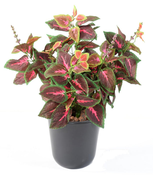 Kunstig Coleus Plante 40Cm Grøn Rød På Stake