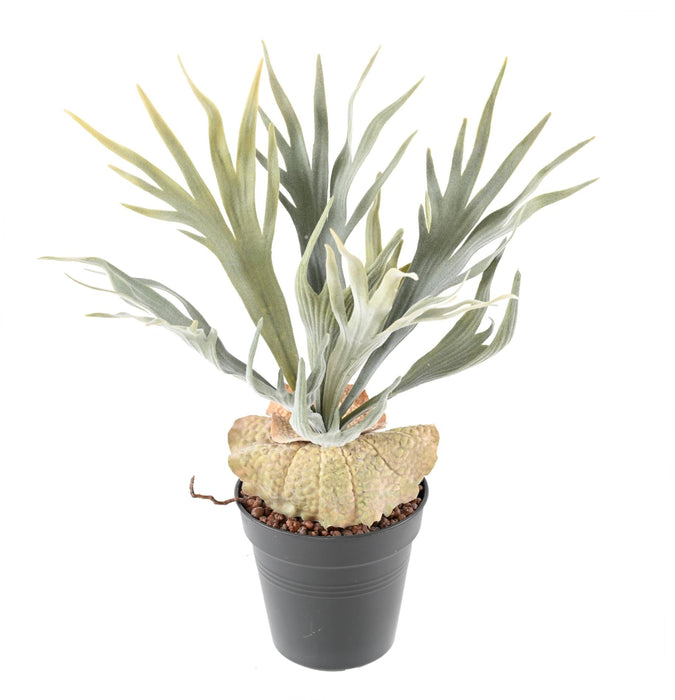 Kunstig Elghornplante 30 Cm Syet