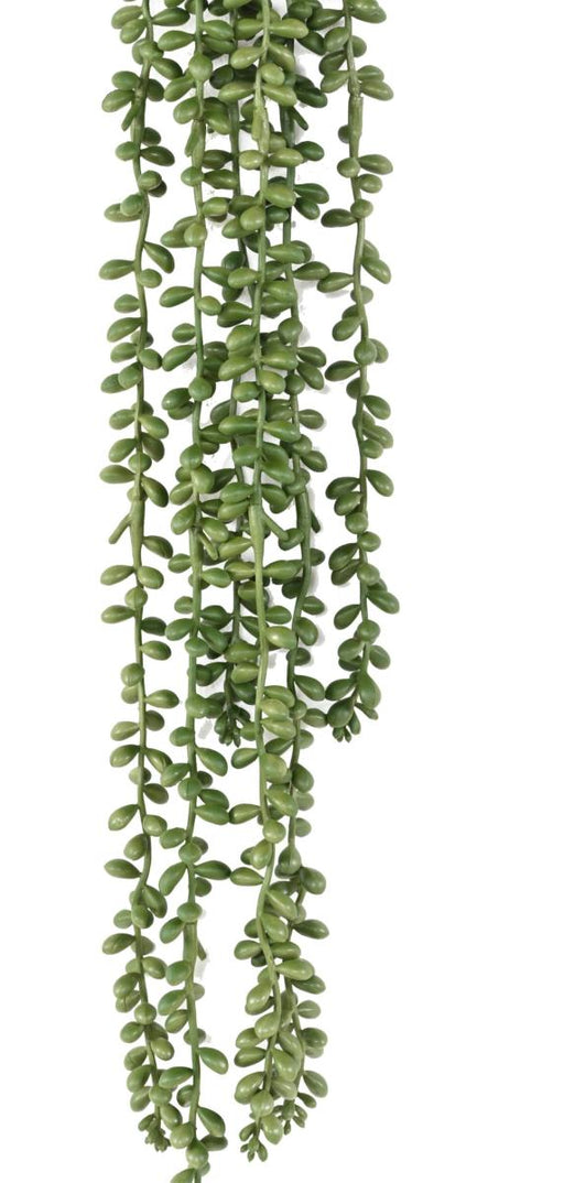 Kunstig Plante Crassula Perlehalskæde 60Cm