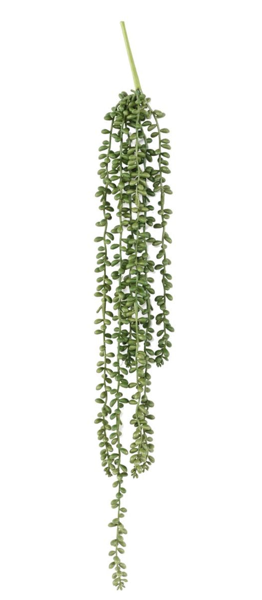 Kunstig Plante Crassula Perlehalskæde 60Cm