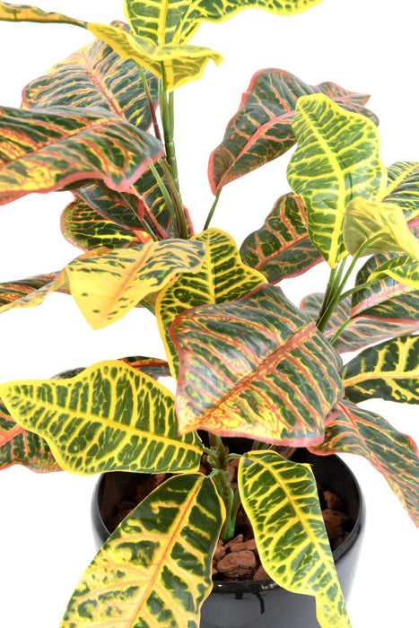 Kunstig Croton Plante Med Pæl 70 Cm Farverig