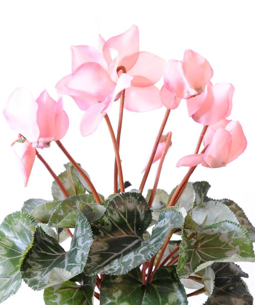 Kunstig Plante Pink Cyclamen 32Cm På Spil