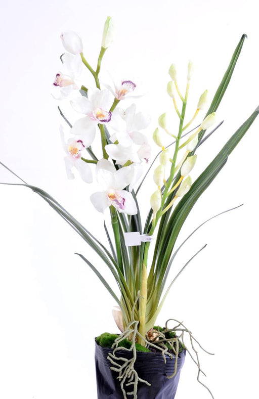 Kunstig Cymbidium Plante H.80Cm Hvid Blomst