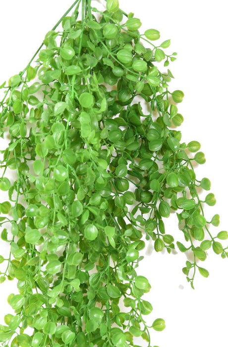 Kunstig Dicondra Plante H.80Cm Til Indendørs