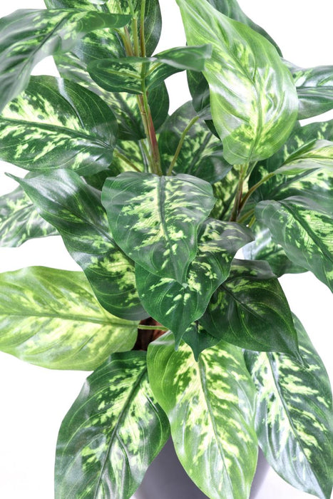 Kunstig Plante Dieffenbachia 70 Cm Dekorativ Pæl