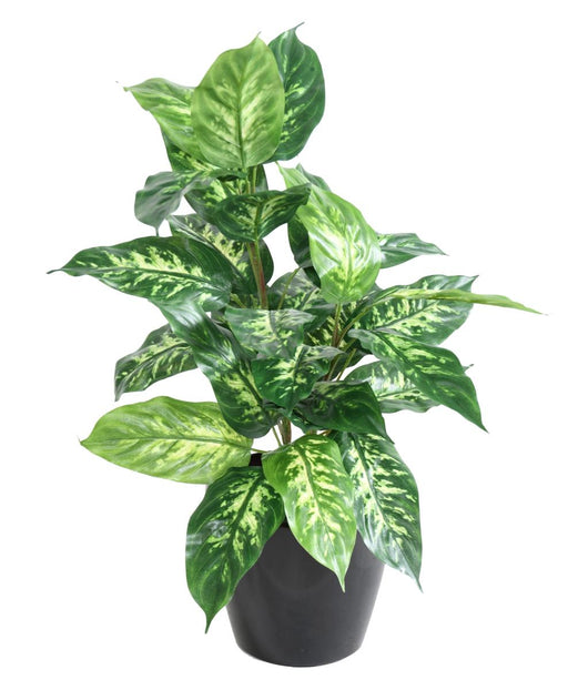 Kunstig Plante Dieffenbachia 70 Cm Dekorativ Pæl