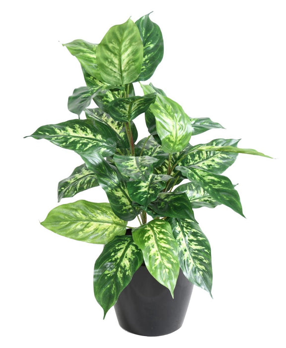 Kunstig Plante Dieffenbachia 70 Cm Dekorativ Pæl