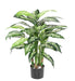 Kunstig Plante Dieffenbachia 80Cm Indvendig Dekoration