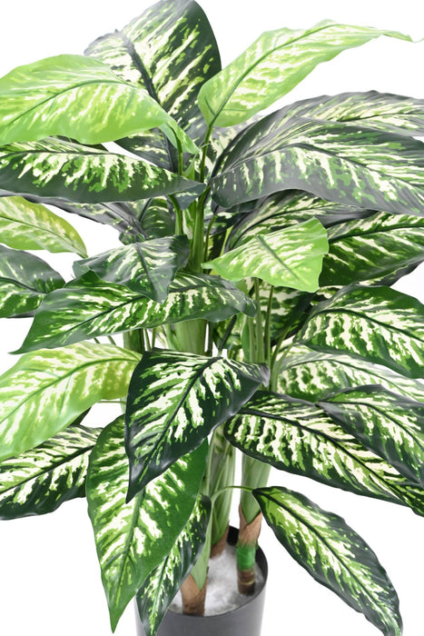 Kunstig Plante Dieffenbachia 80Cm Indvendig Dekoration