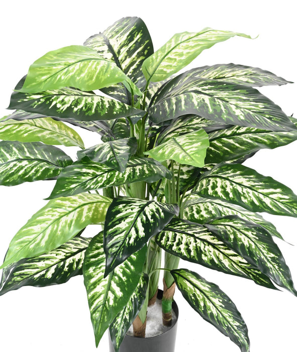 Kunstig Plante Dieffenbachia 80Cm Indvendig Dekoration
