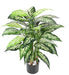 Kunstig Plante Dieffenbachia 80Cm Indvendig Dekoration