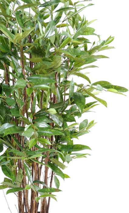 Kunstig Plante Dracaena 120Cm Til Indretning