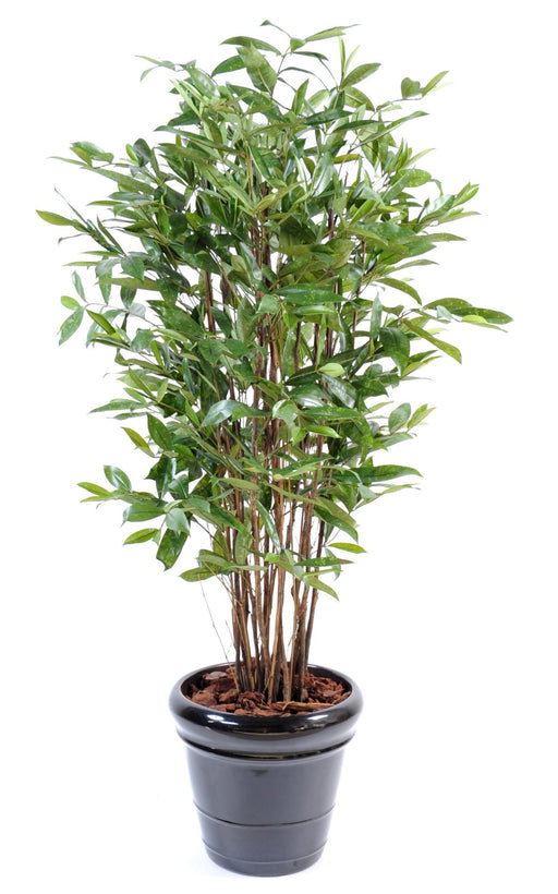 Kunstig Plante Dracaena 120Cm Til Indretning