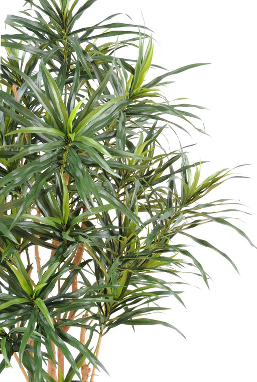 Kunstig Plante Dracaena 155 Cm Til Indendørs