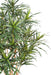 Kunstig Plante Dracaena 155 Cm Til Indendørs