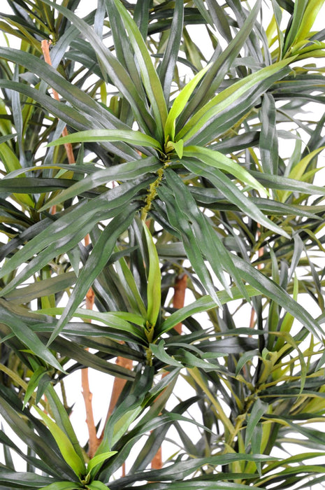 Kunstig Plante Dracaena 155 Cm Til Indendørs