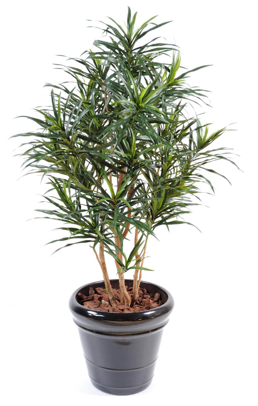 Kunstig Plante Dracaena 155 Cm Til Indendørs