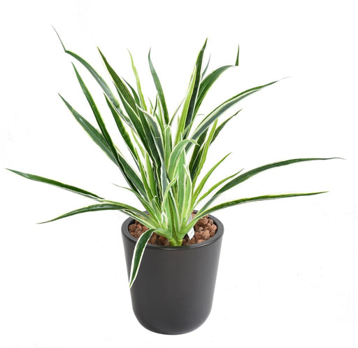 Kunstig Plante Dracaena 4 Totter H40Cm Broget