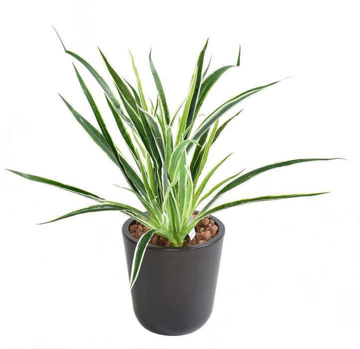 Kunstig Plante Dracaena 4 Totter H40Cm Broget