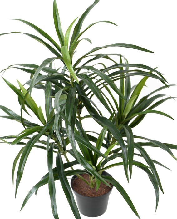 Kunstig Plante Dracaena 45 Cm Til Indretning