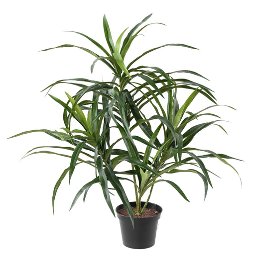 Kunstig Plante Dracaena 45 Cm Til Indretning