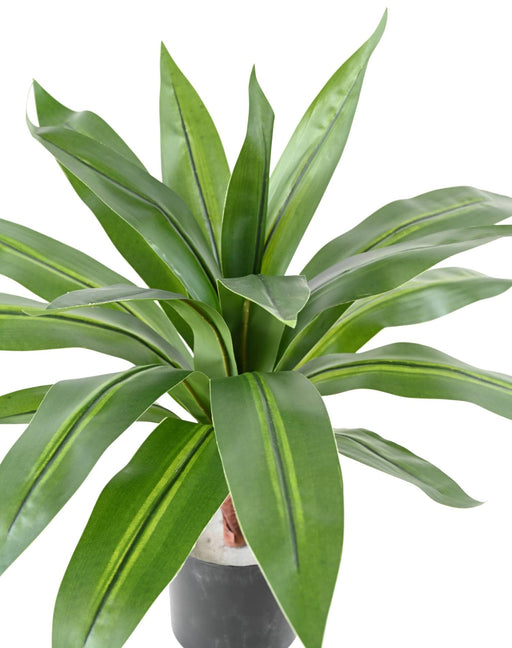 Kunstig Plante Dracaena 55Cm Interiørdekoration