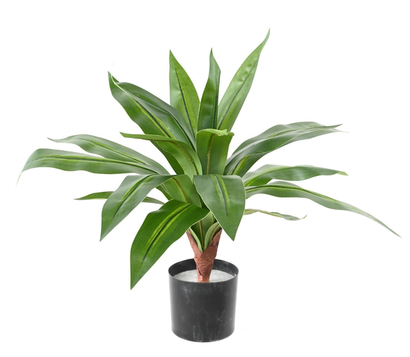 Kunstig Plante Dracaena 55Cm Interiørdekoration