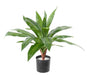 Kunstig Plante Dracaena 55Cm Interiørdekoration