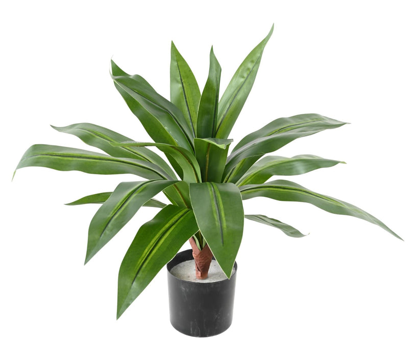 Kunstig Plante Dracaena 55Cm Interiørdekoration