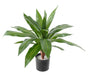 Kunstig Plante Dracaena 55Cm Interiørdekoration