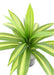 Kunstig Plante Dracaena 55Cm Broget