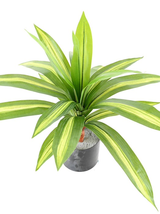 Kunstig Plante Dracaena 55Cm Broget