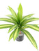 Kunstig Plante Dracaena 55Cm Broget