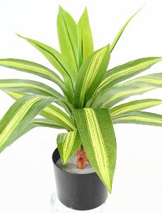 Kunstig Plante Dracaena 55Cm Broget
